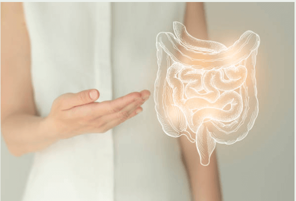 De darm: het centrale orgaan van onze gezondheid