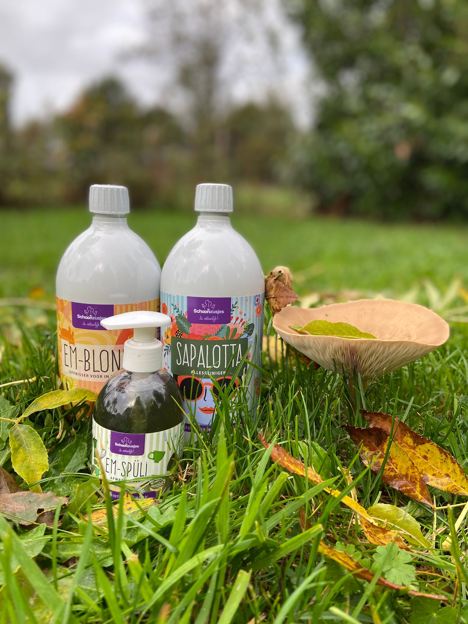 🍂 De herfst is er weer, tijd om je huis gezond te houden!