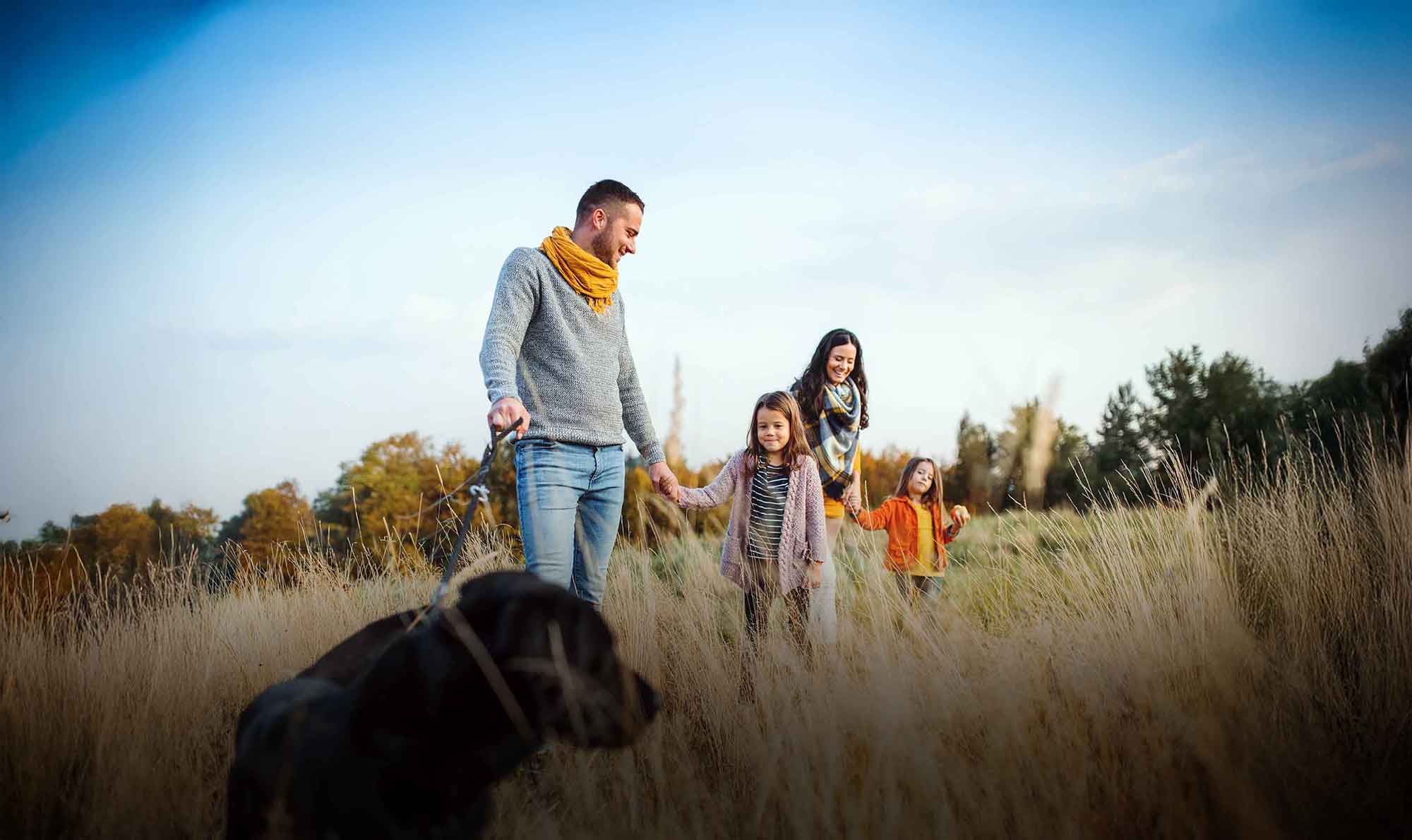 Afbeelding van een gezin met hun hond in de natuur. In dit beeld wordt een gevoel van samenzijn en frisheid gecreëerd.