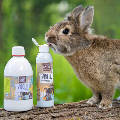 Videlio - Probiotische darmondersteuning voor je huisdier